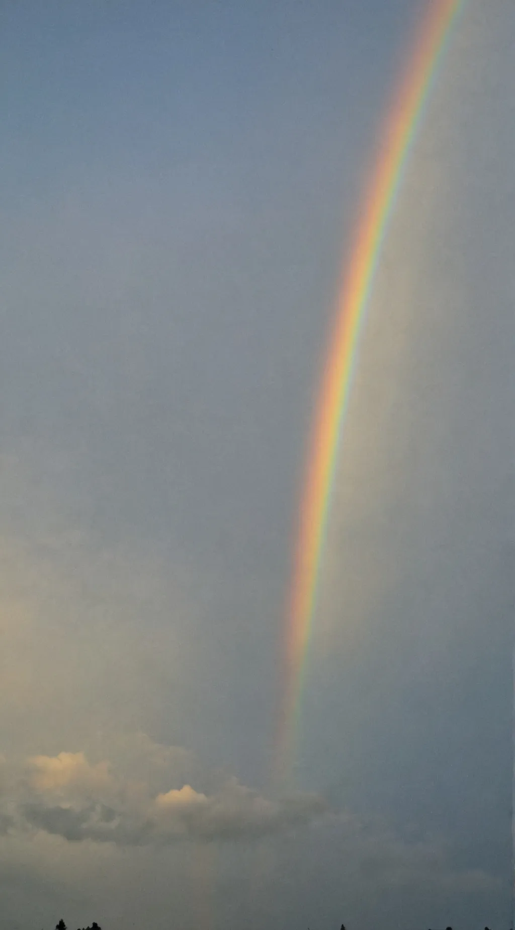 ai character: DW… Again😭 background