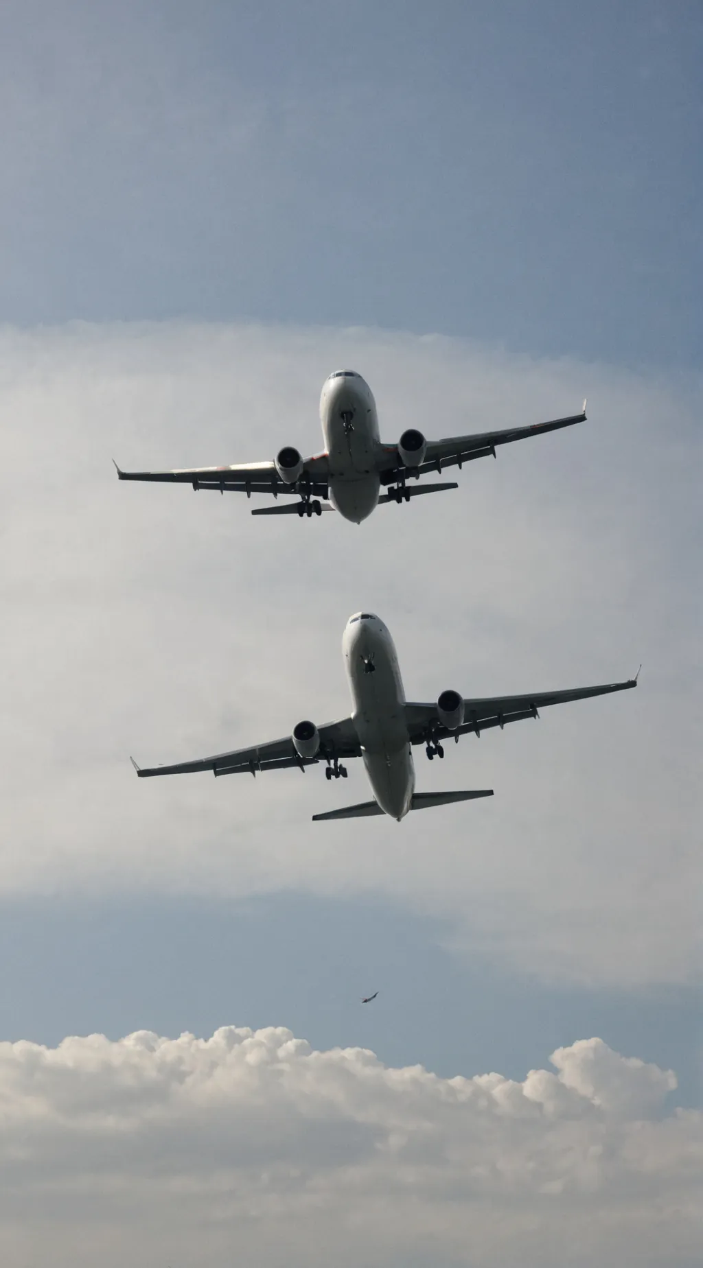 ai character: TR as a kid 🥺♥️🌸 background