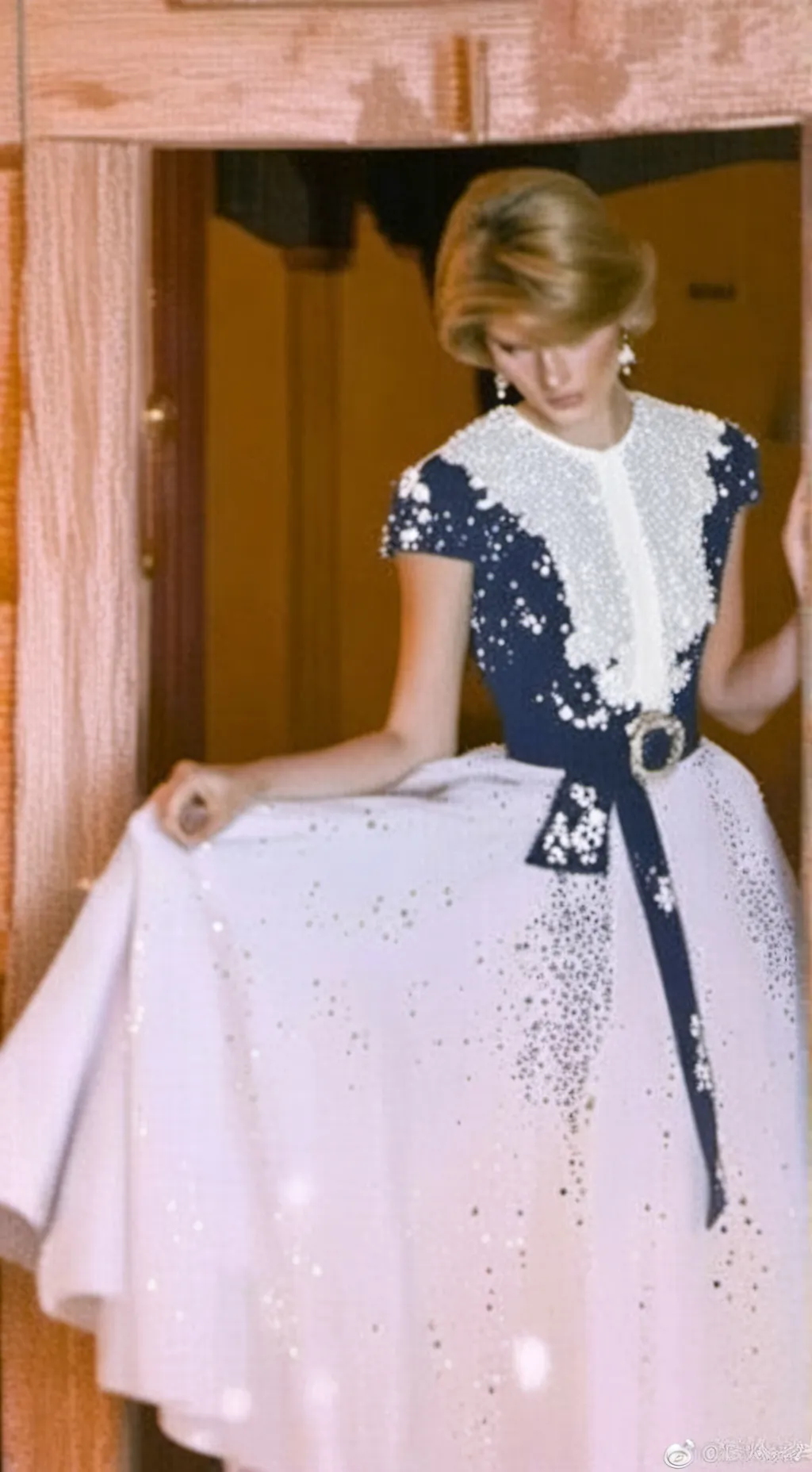 ai character: Princess Diana background