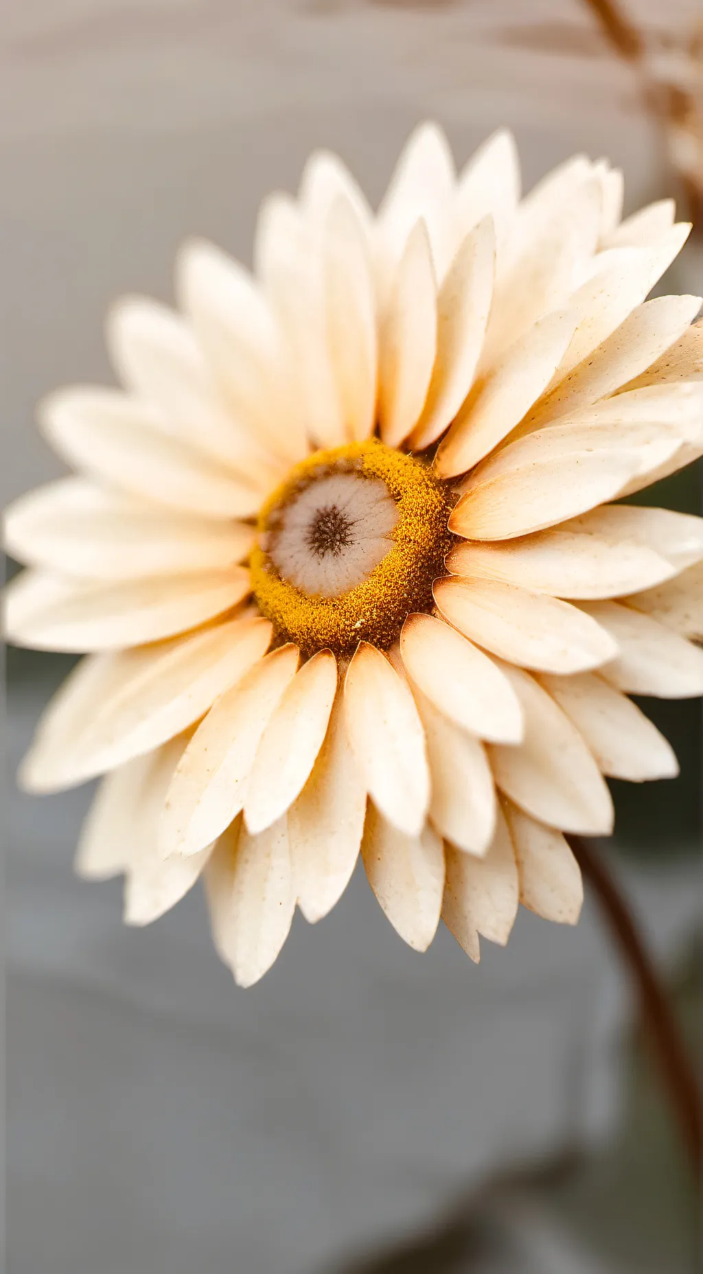 ai character: crk but trapped!? background