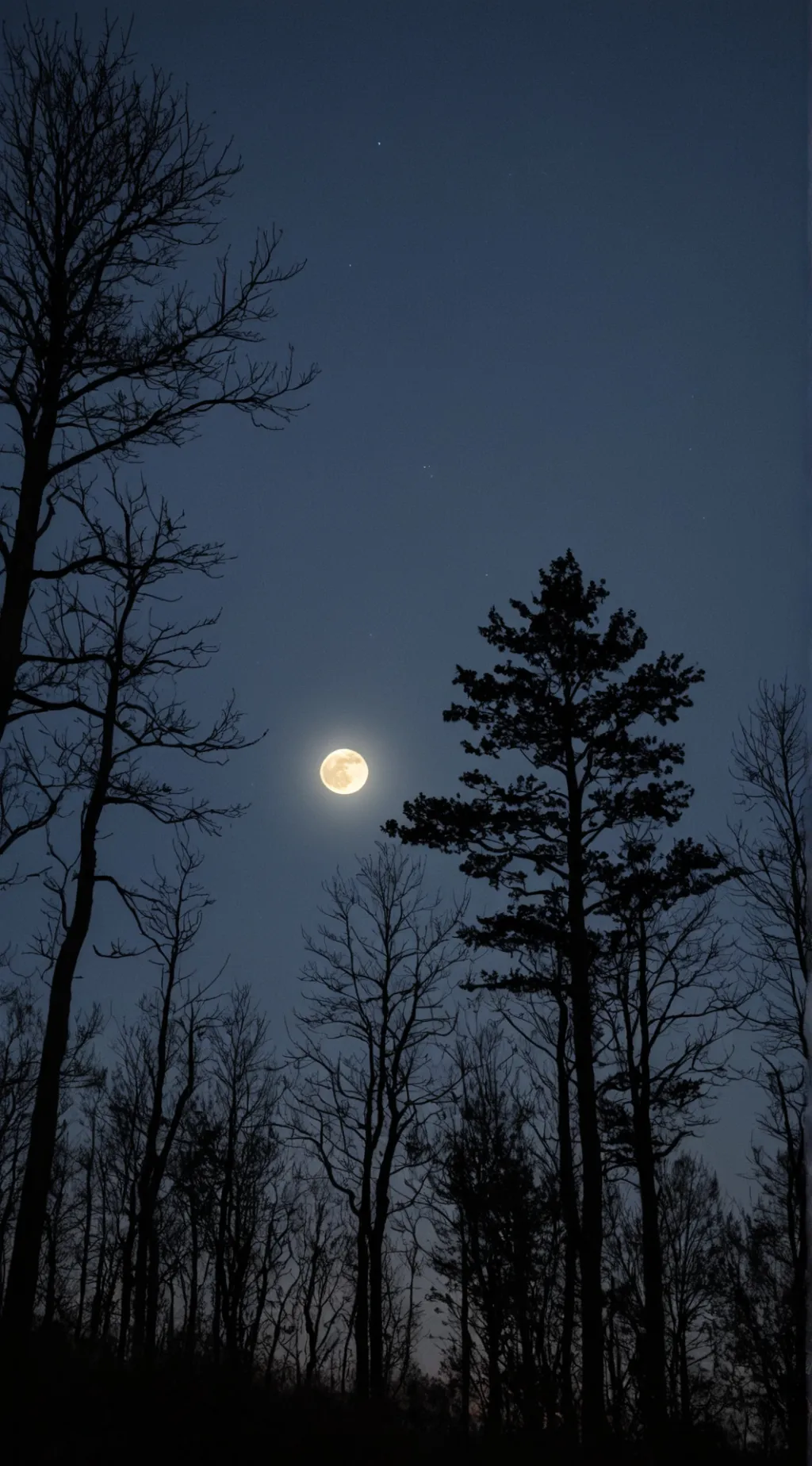 ai character: ~°Forsaken 1#°~ background