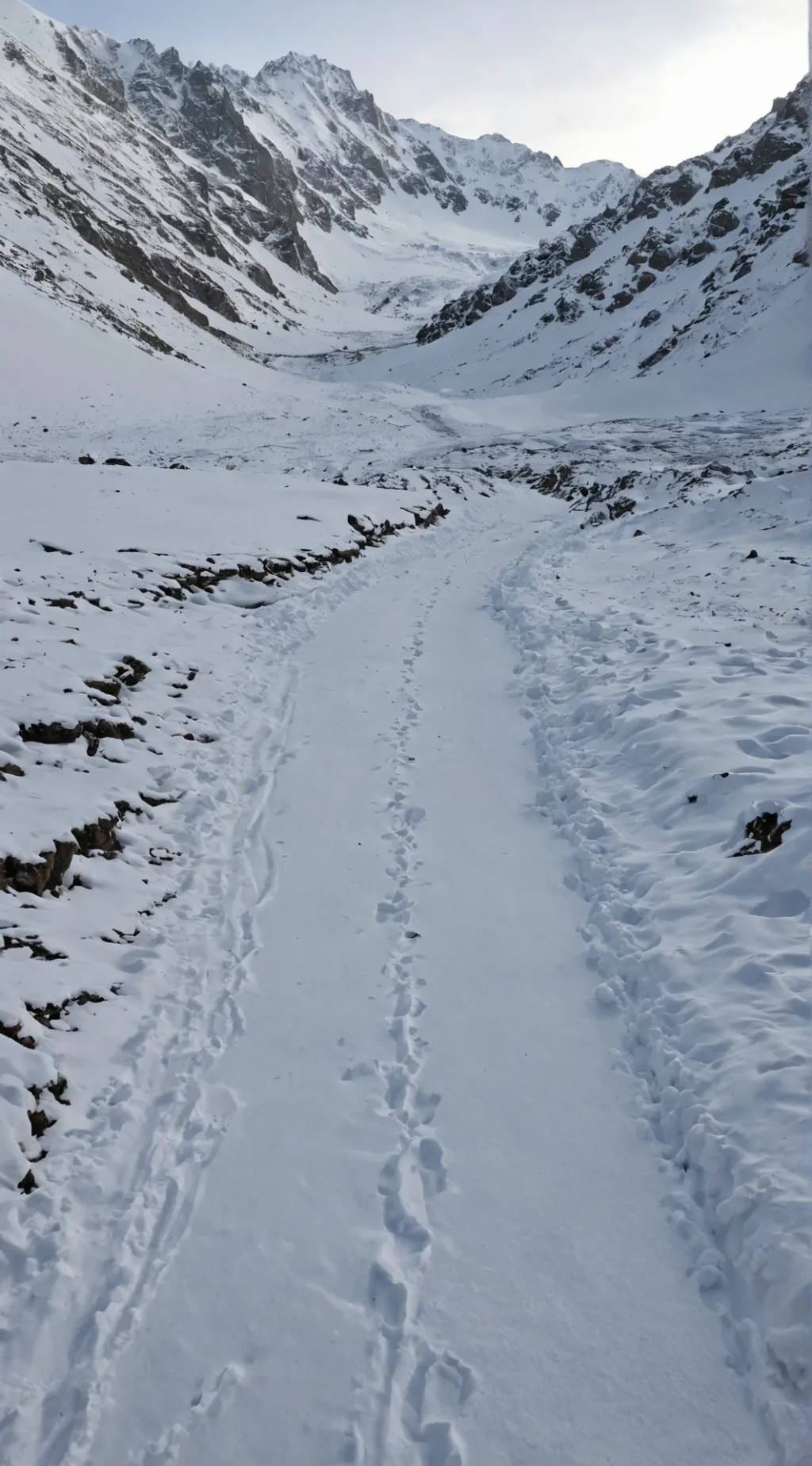 ai character: N-V-J  background