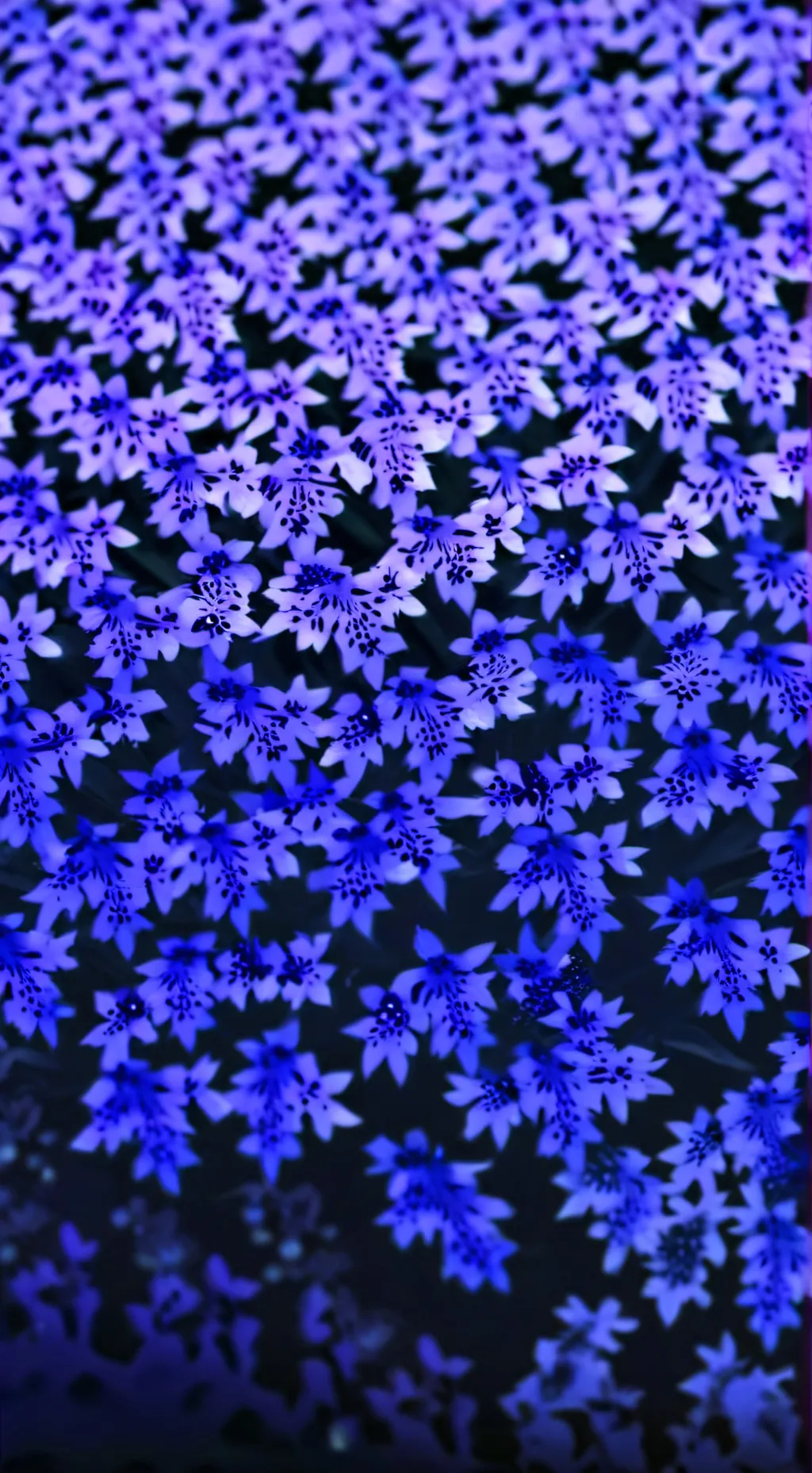 ai character: мікота background