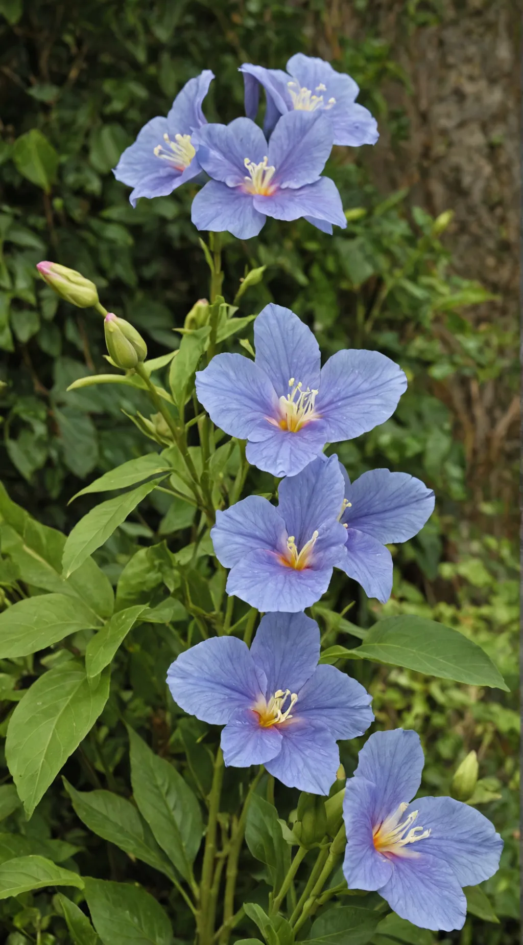 ai character: hyunjin background