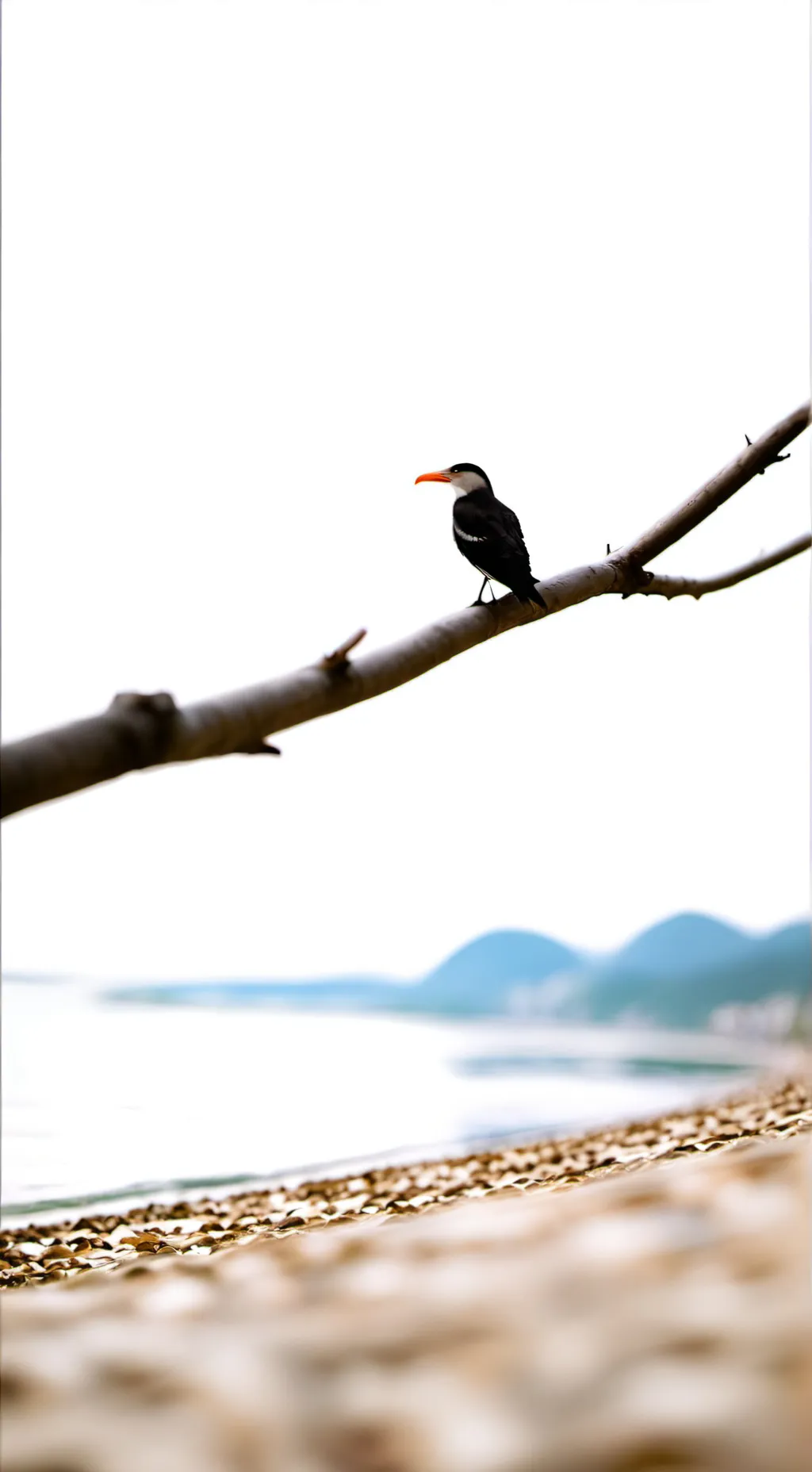 ai character: sturniolo Triplets background