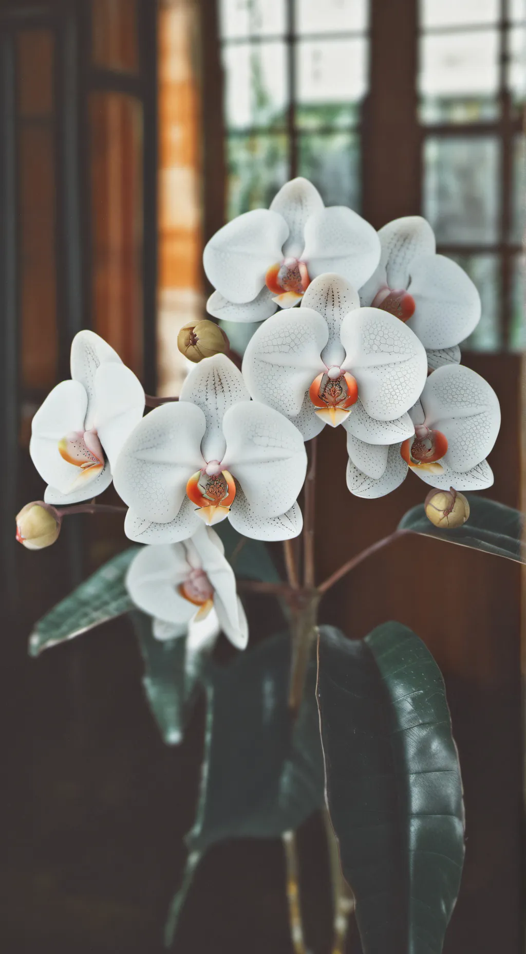 ai character: STOP SPRUNKI  background