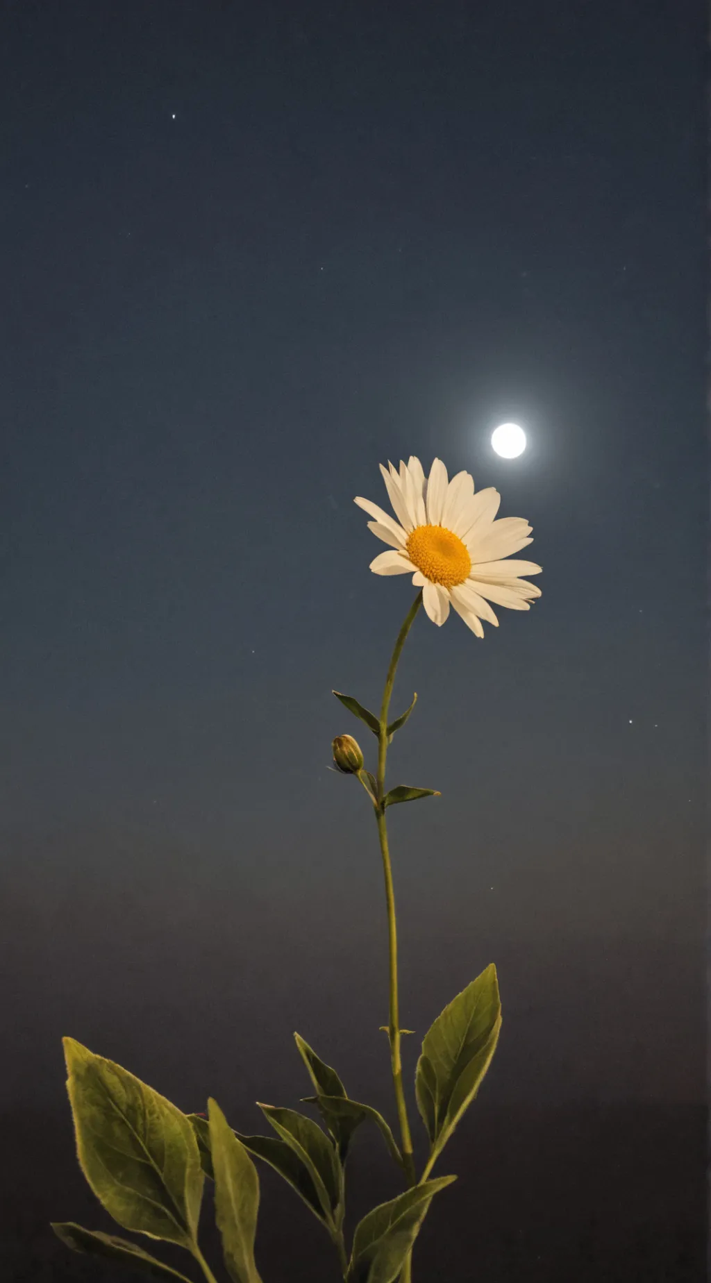 ai character: moonflower kid background