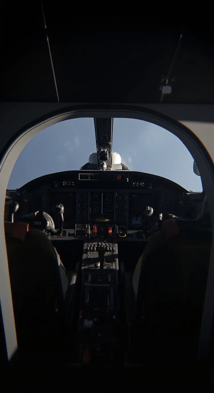 ai character: TCAS background