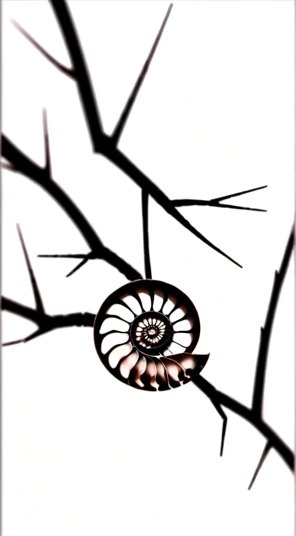 Talkie AI - Chat with ★Shelly Fossilian