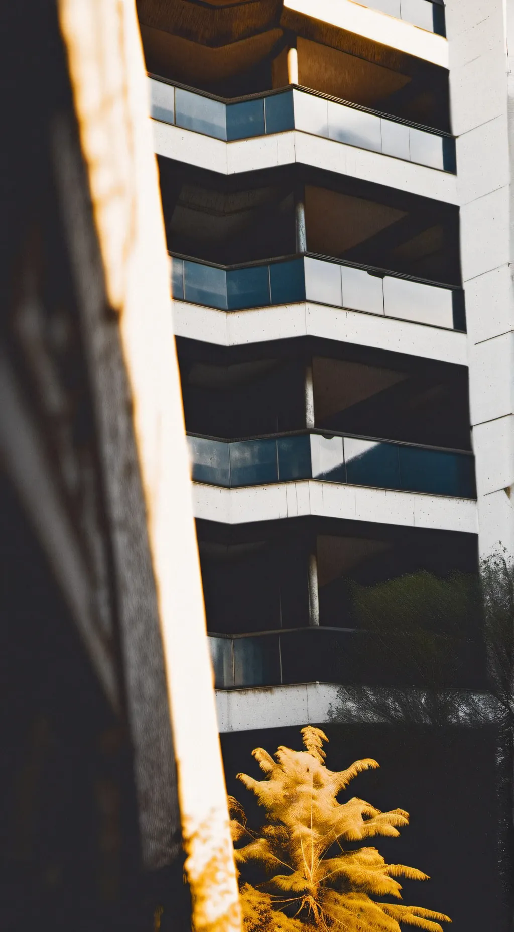 ai character: Katsuki (ur death) background