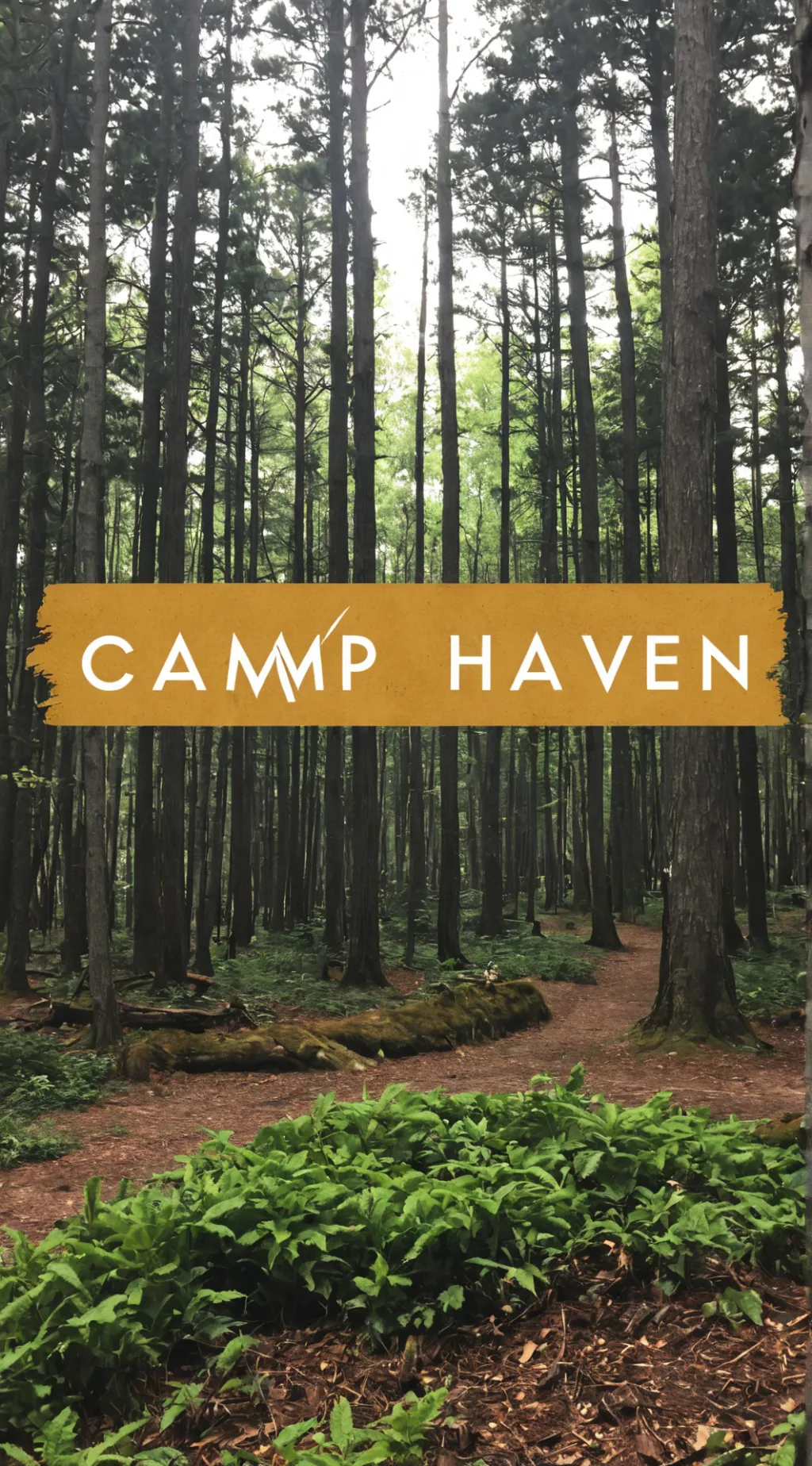 ai character: Camp Haven background