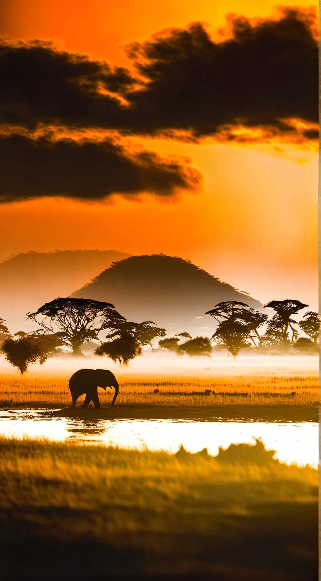 Talkie AI - Chat with Grinch Pride 