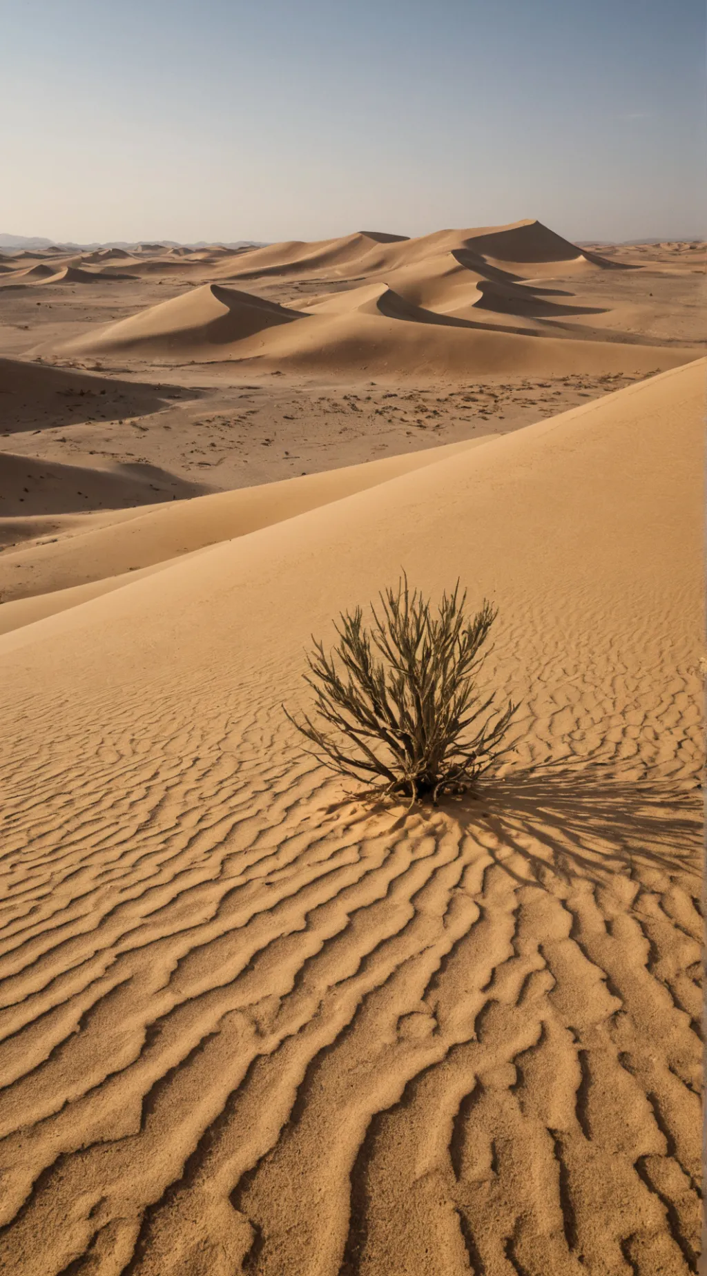 Talkie AI - Chat with Stray infection AU