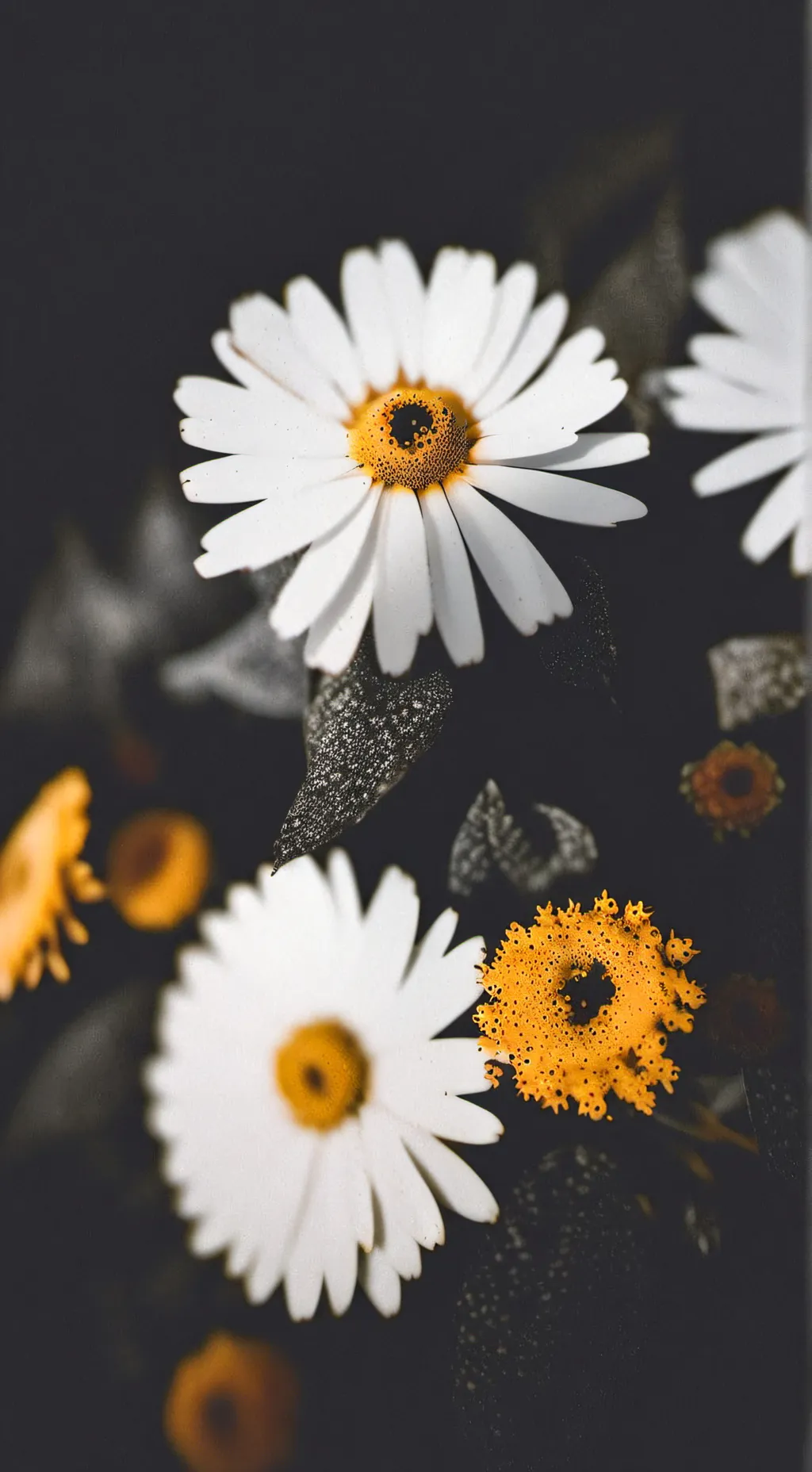 ai character: Goob/ ANGRYHUGS background