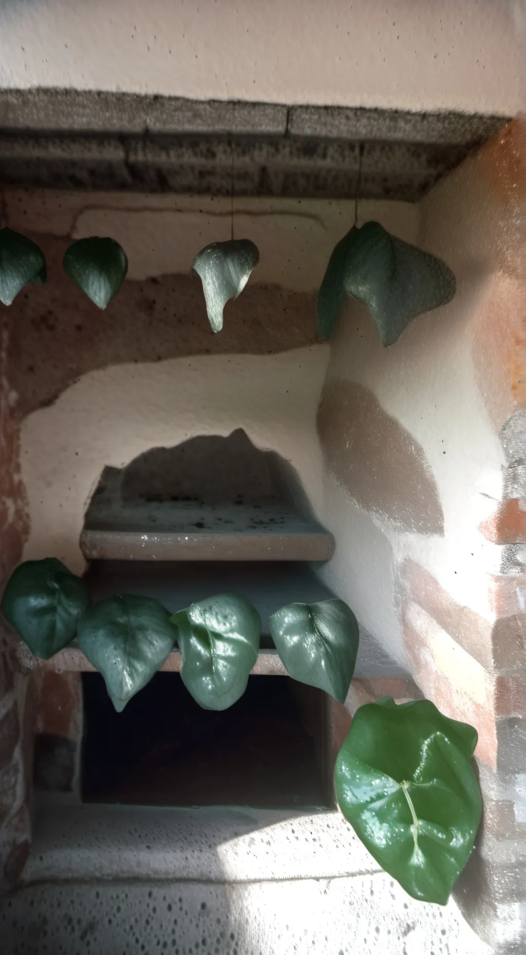 ai character: extrañes background