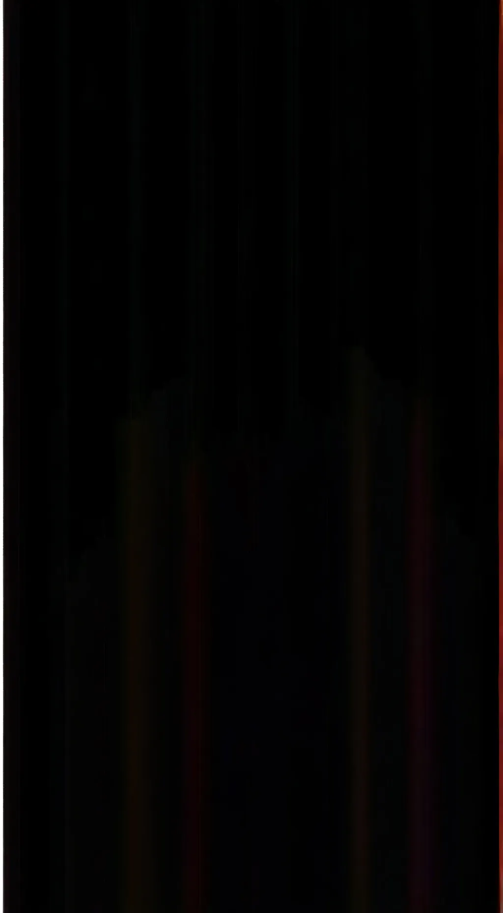 ai character: ø background