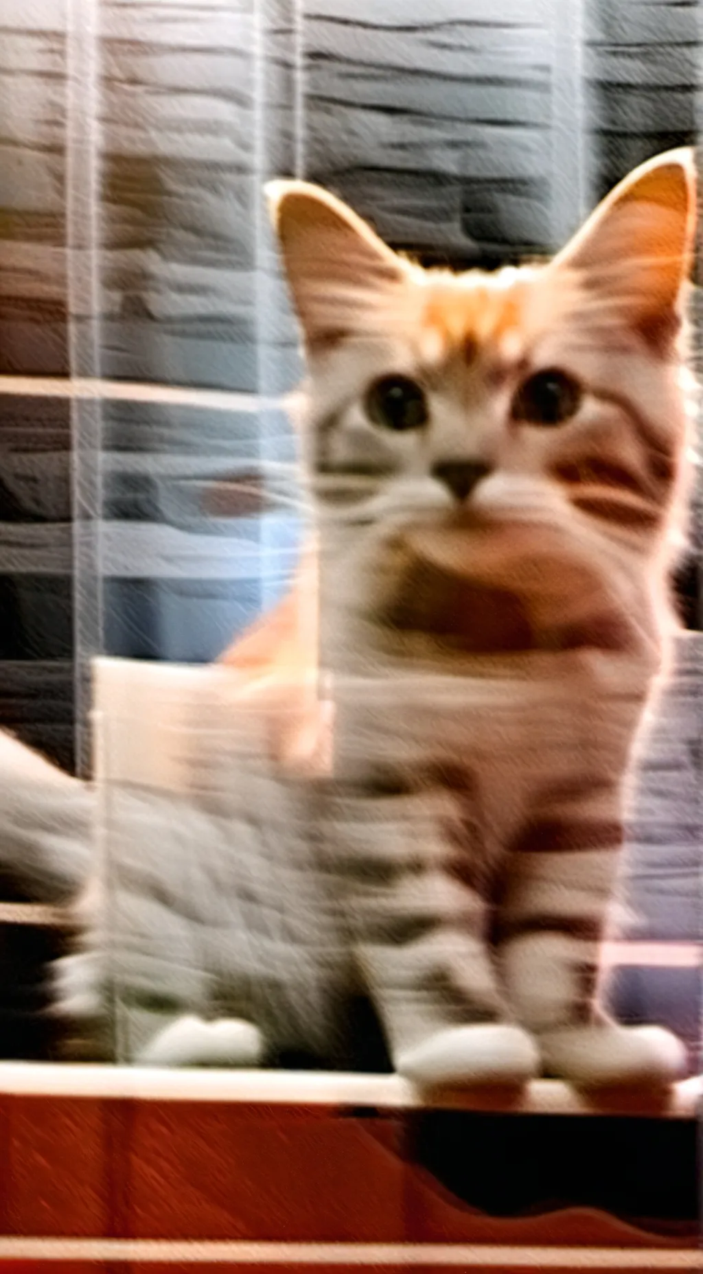 ai character: kitty(name him)  background