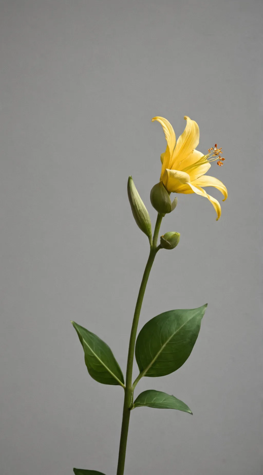 ai character: Flower￼ Yandry background