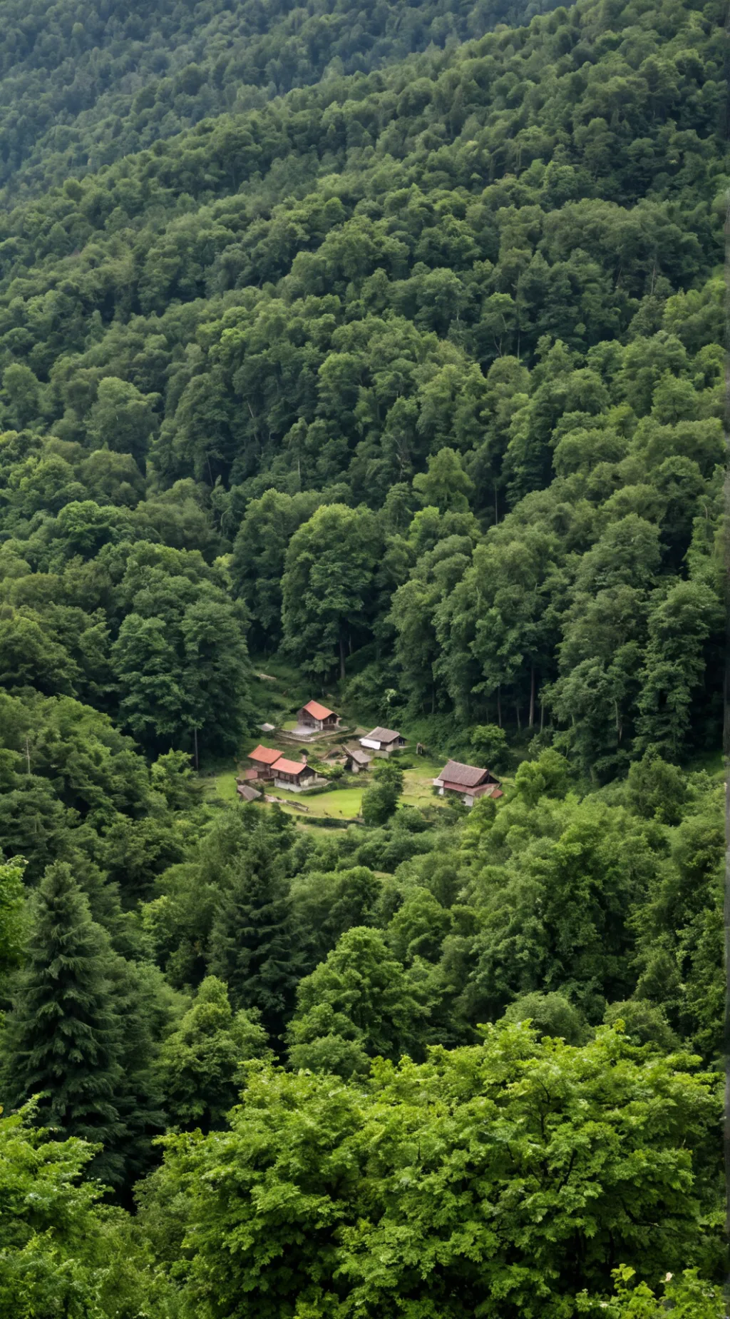 ai character: ArkEvolvedAscended background