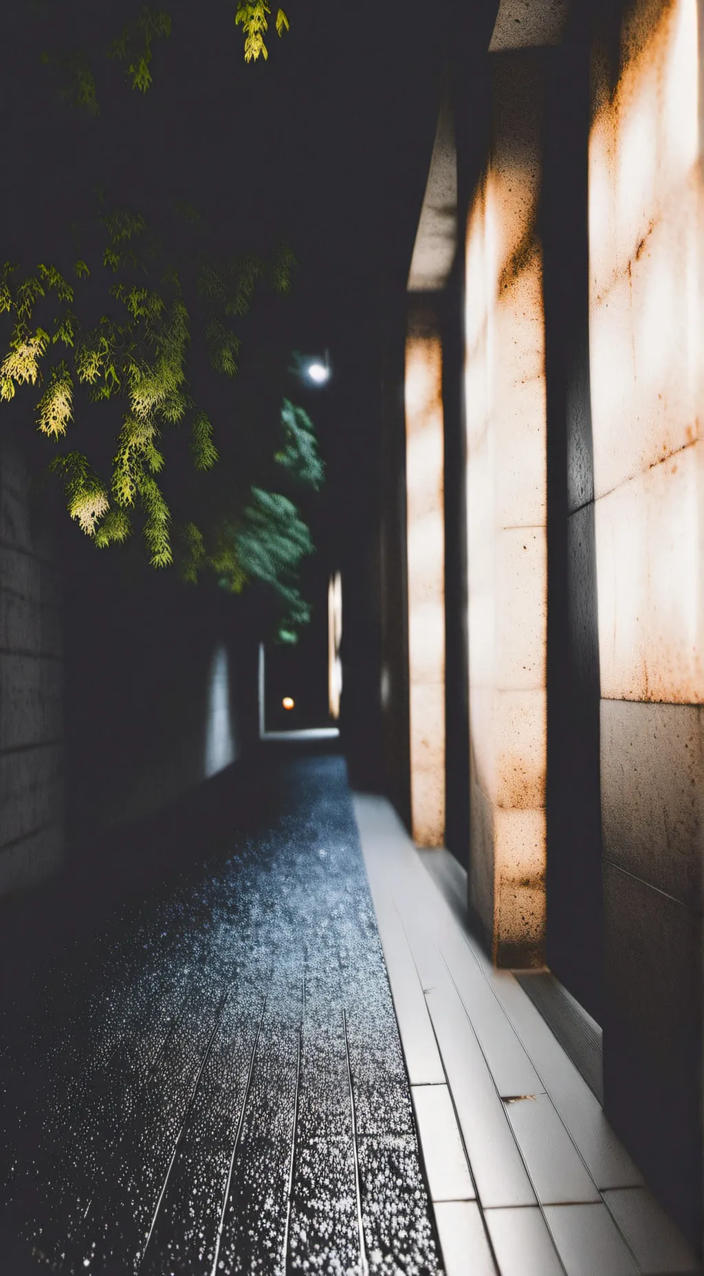 ai character: Doublefedora  background