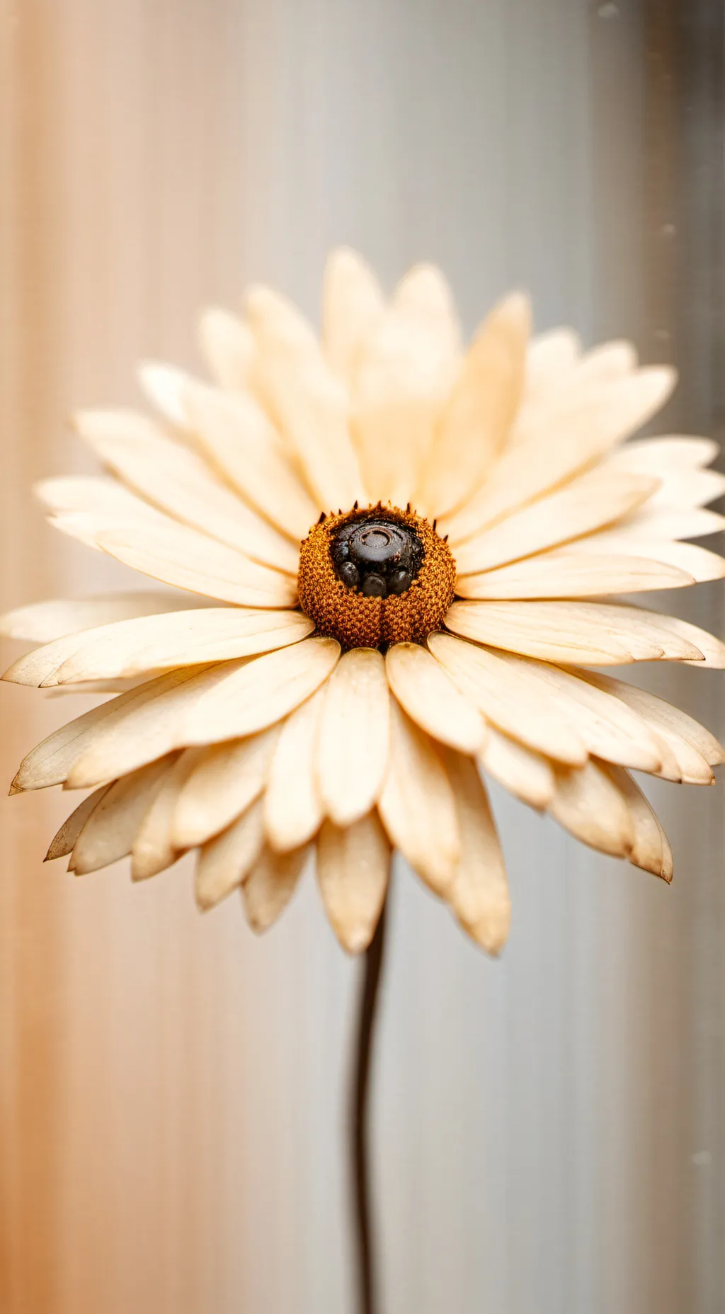 ai character: Mabiel salas background