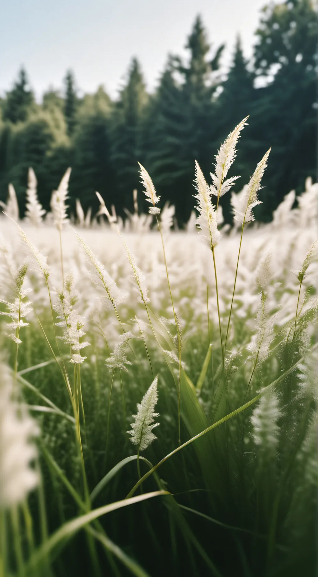 ai character: grass background