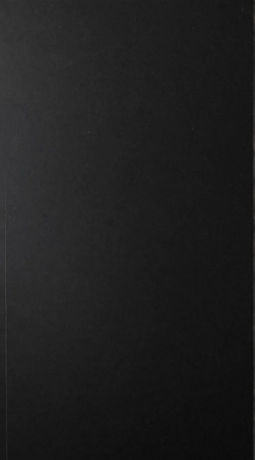 ai character: crazy maid background