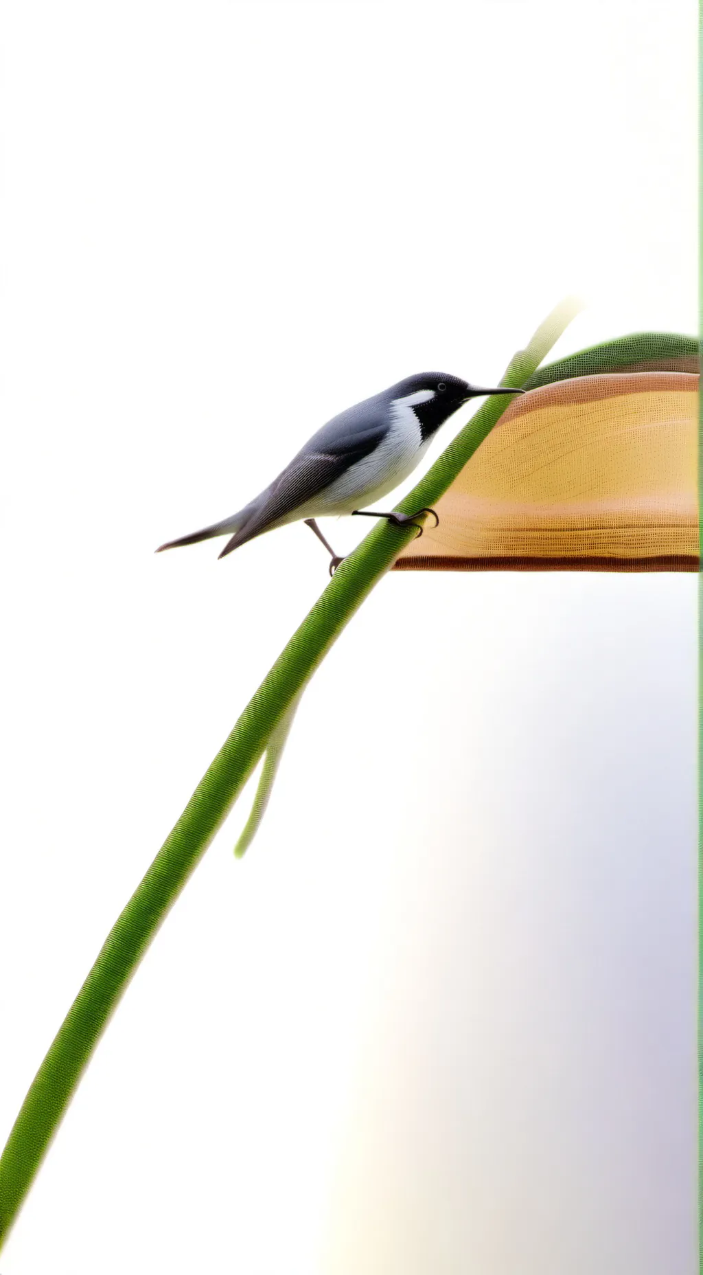 ai character: idk background