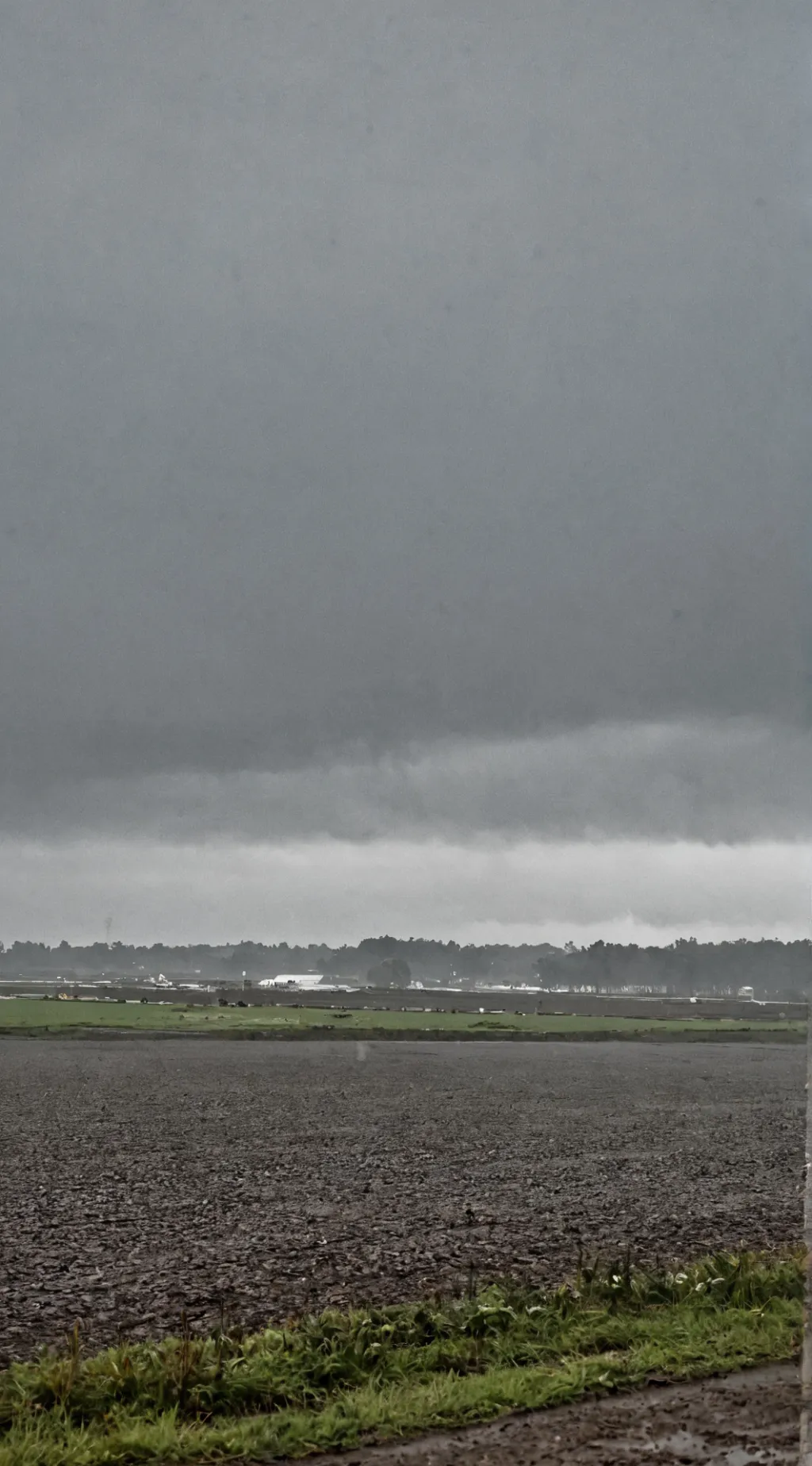 ai character: Russia and Belarus background