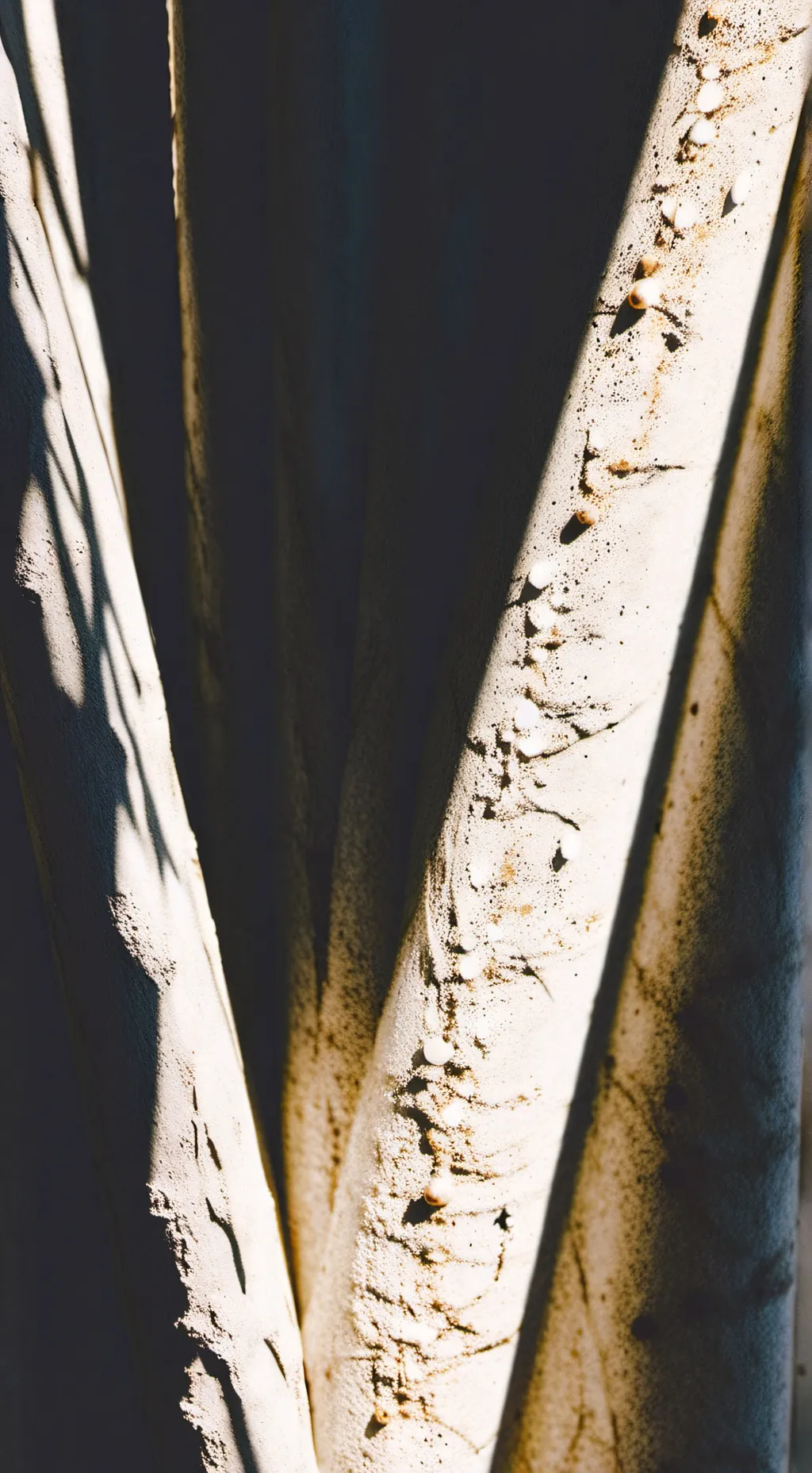 ai character: COD (Realization) background