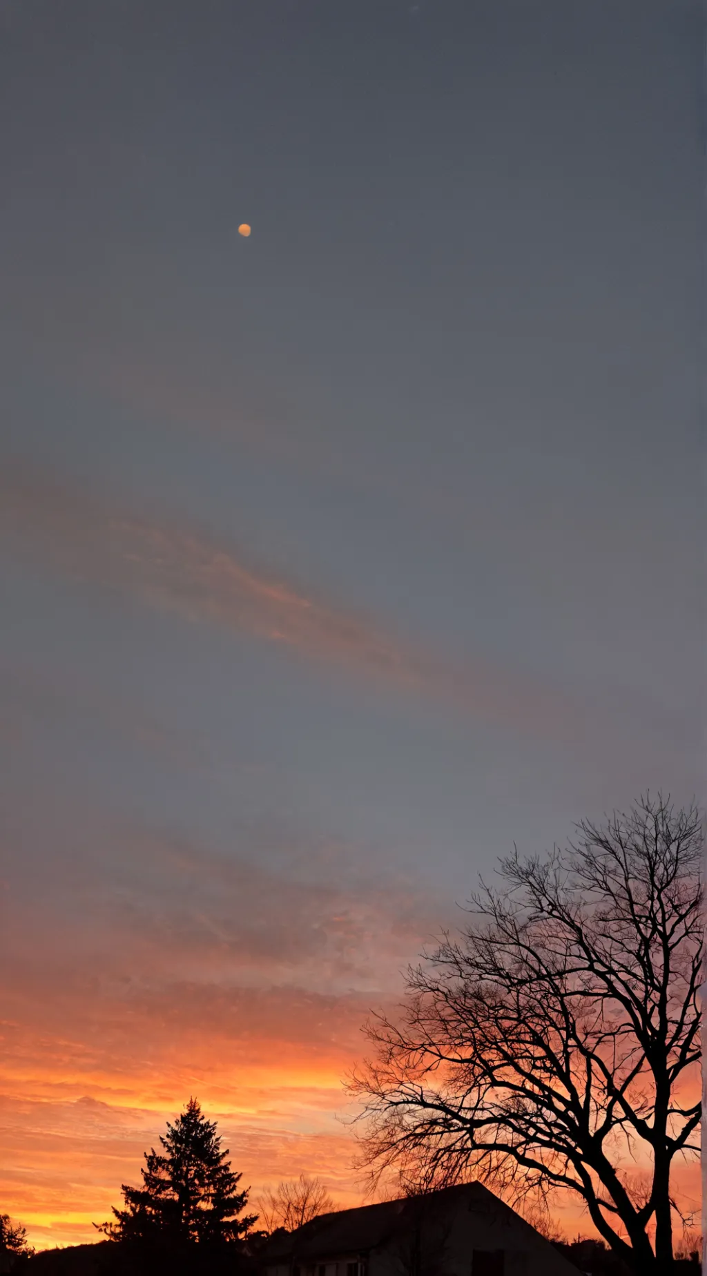 ai character: Ivy background