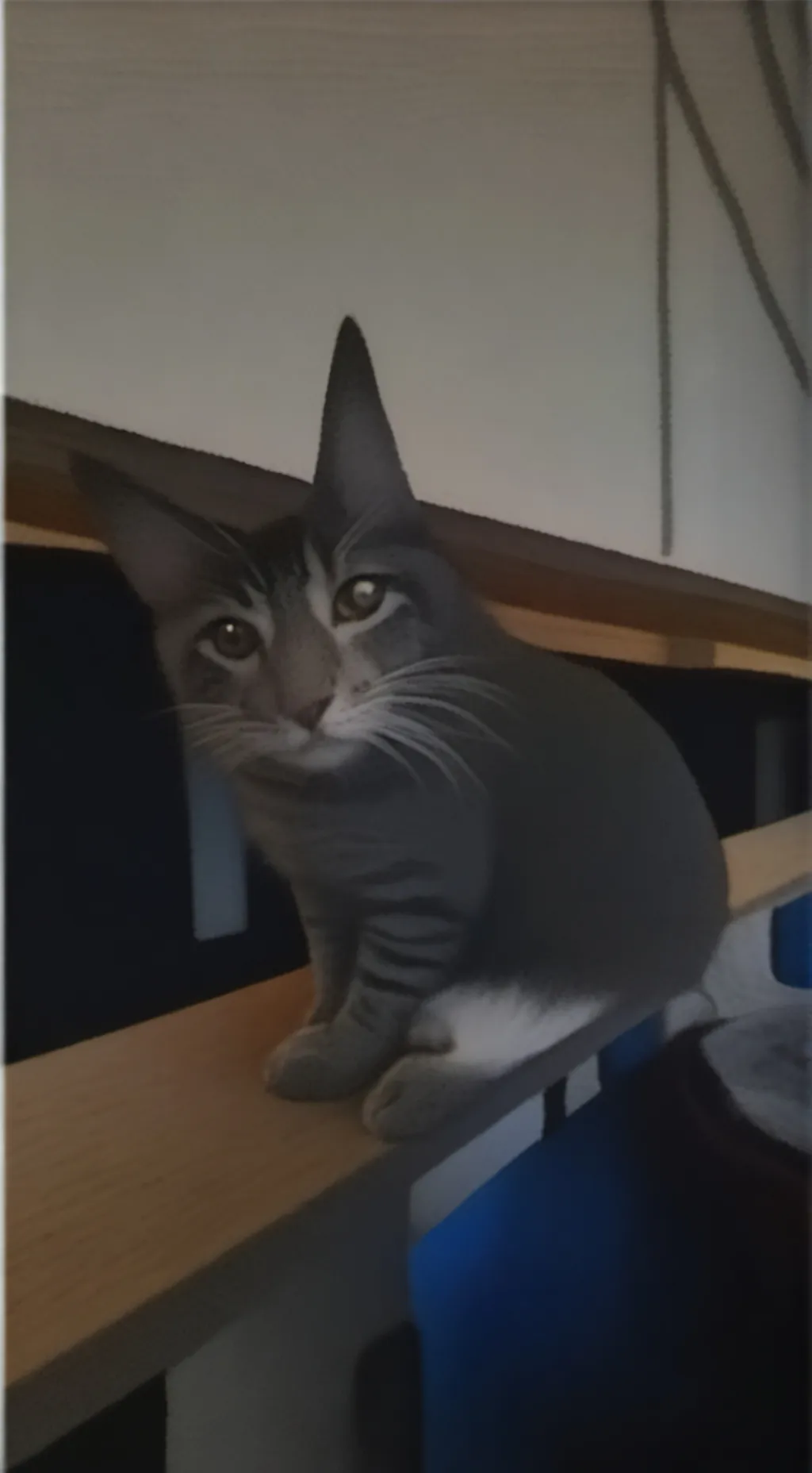 ai character: tod×dek×bak background