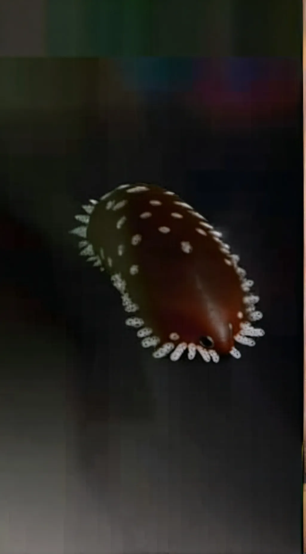 ai character: djay💮 background