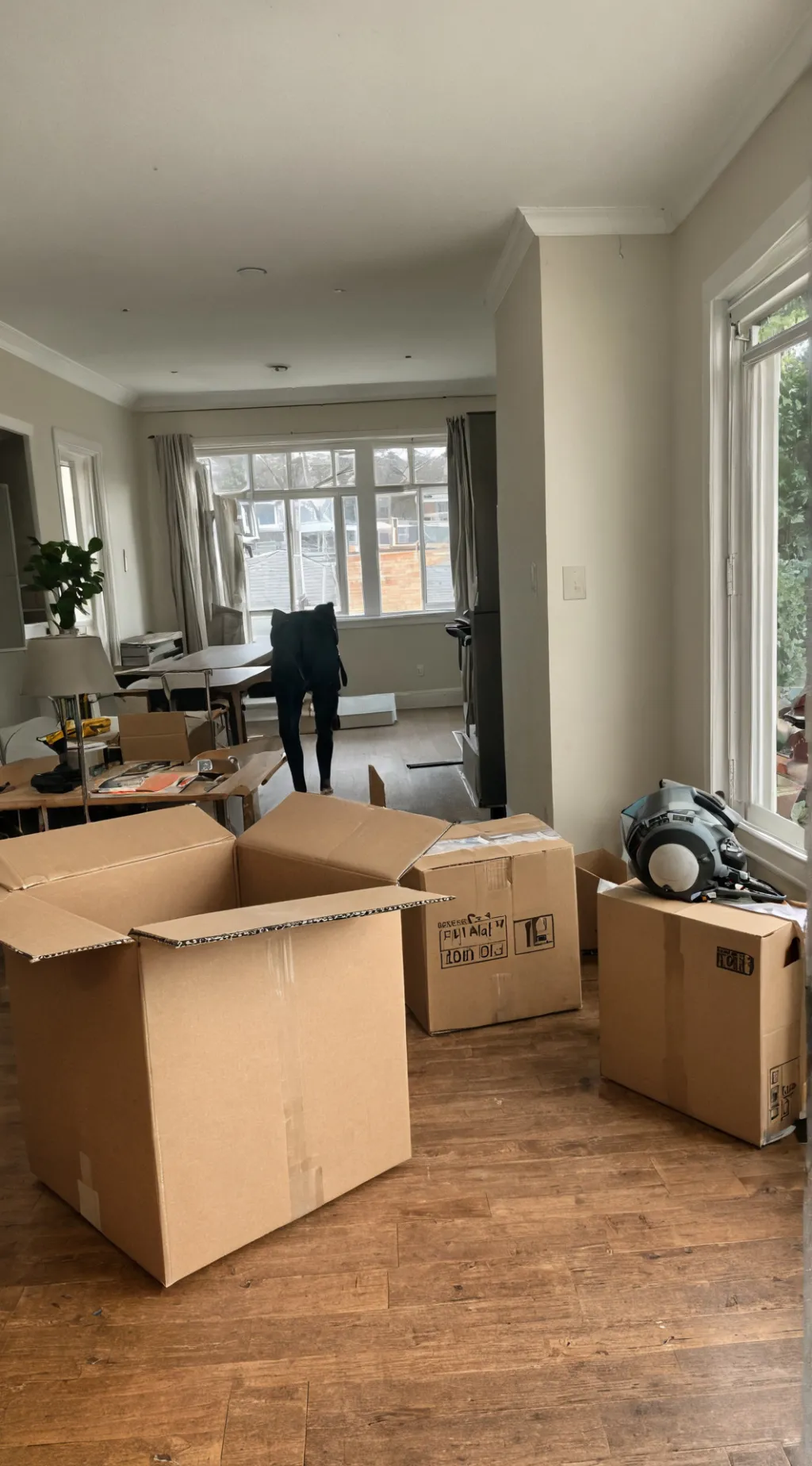 ai character: Moving Day RP background