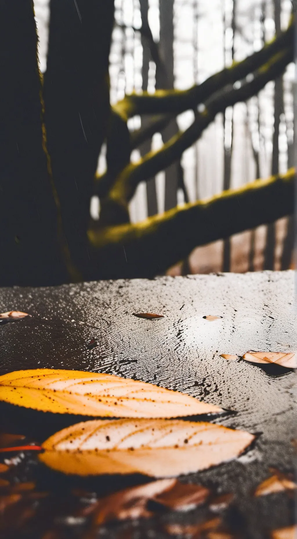 ai character: Tomioka giyuu background