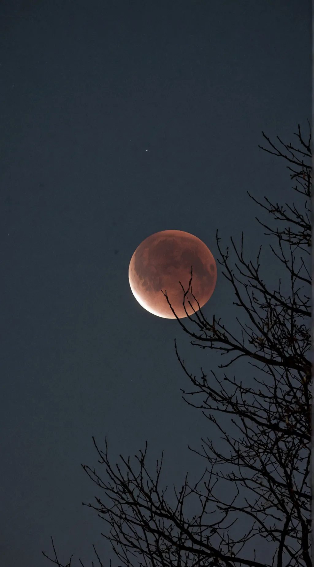 ai character: skz background