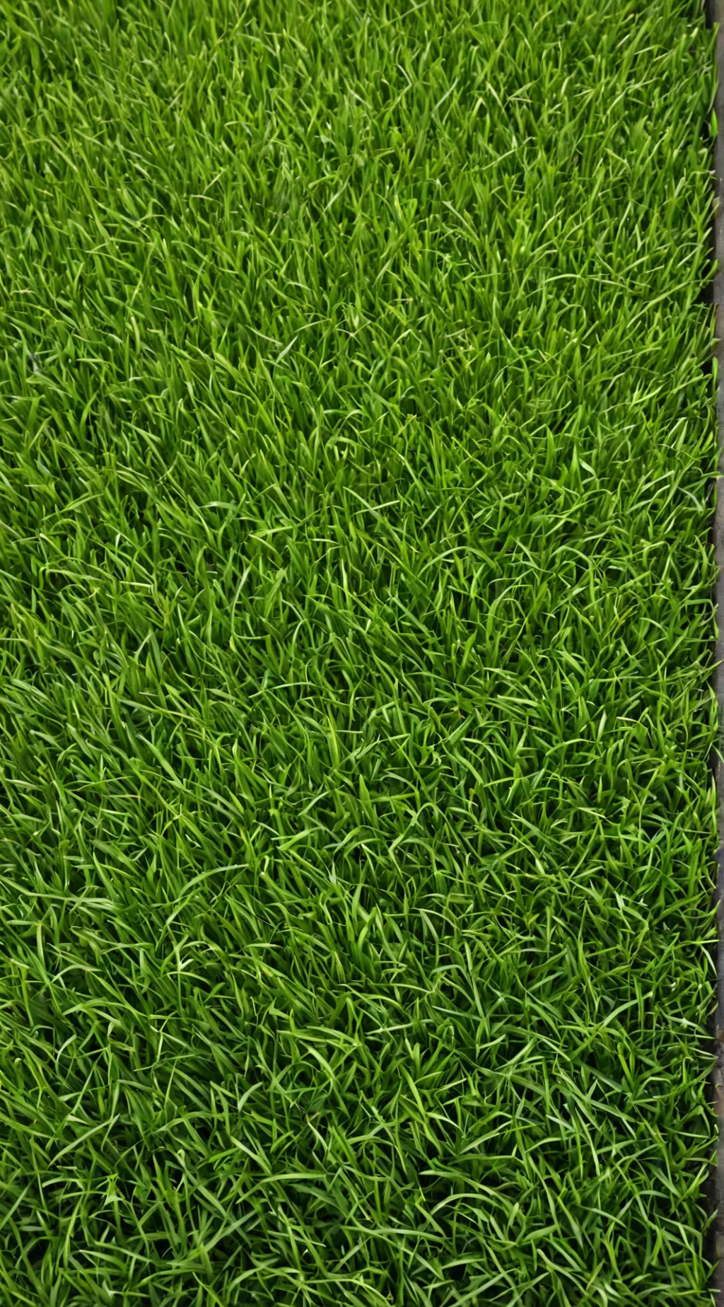 ai character: COD Y/N background