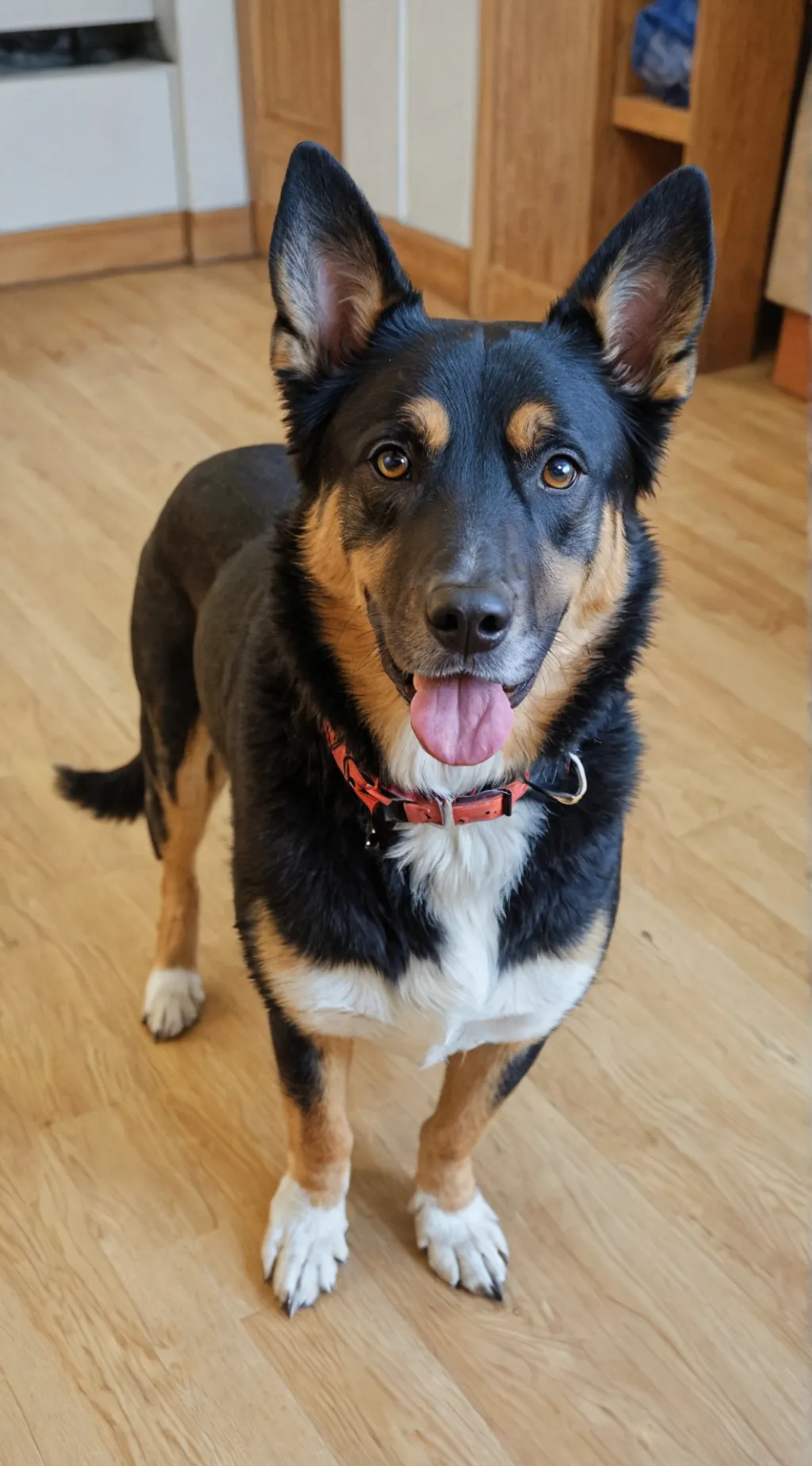 ai character: Bob background