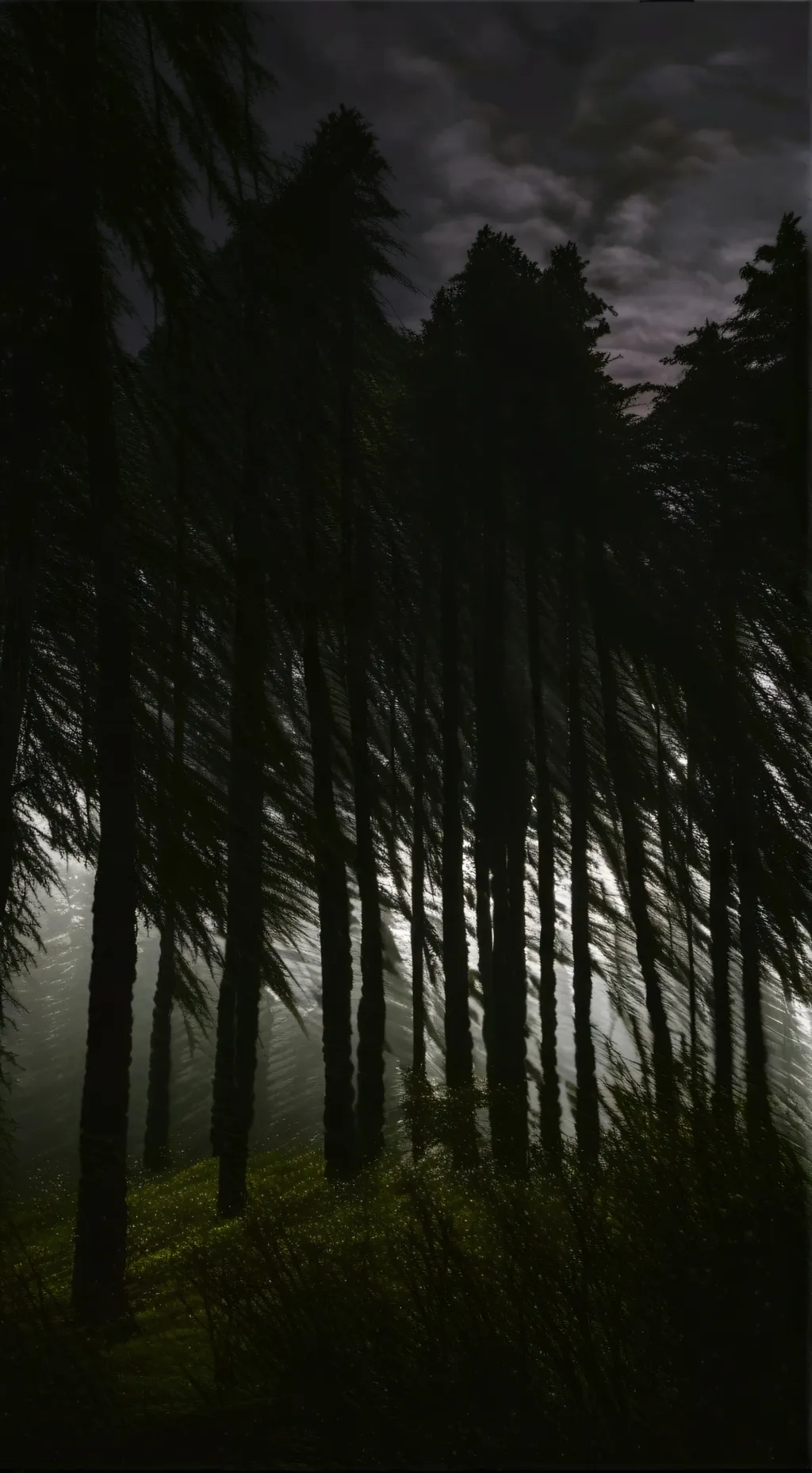 ai character: Surivive forest  background