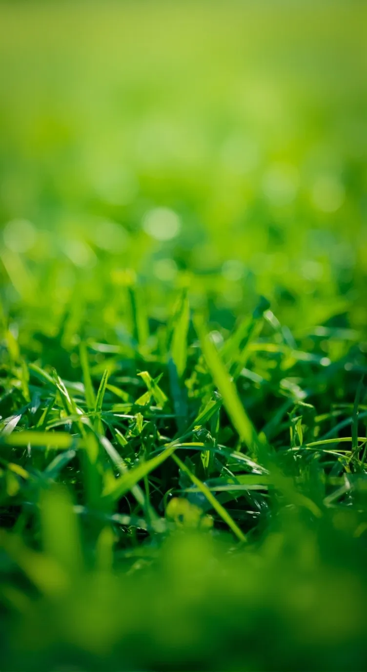 ai character: TOUCH SOME GRASS background