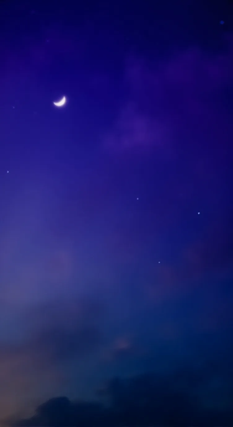 ai character: Minsung background