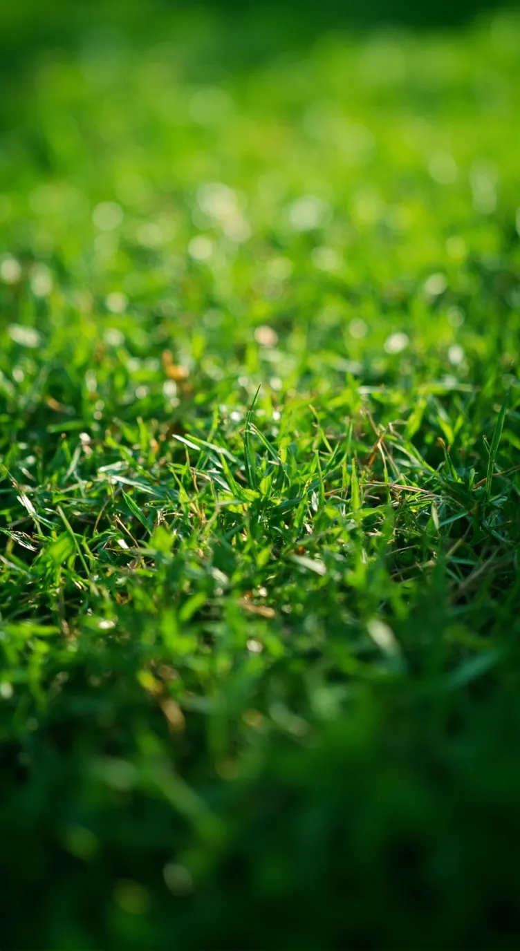 ai character: CHB PJO background