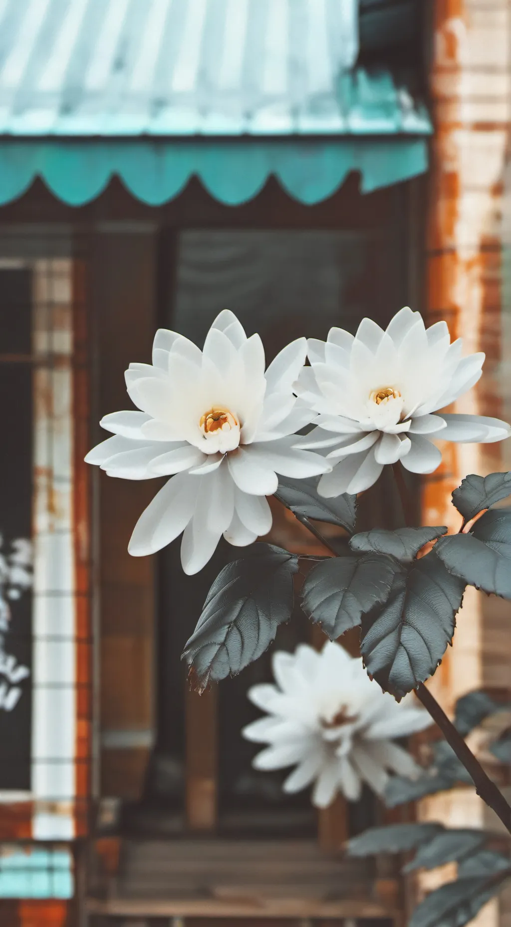 ai character: Girl newsie background