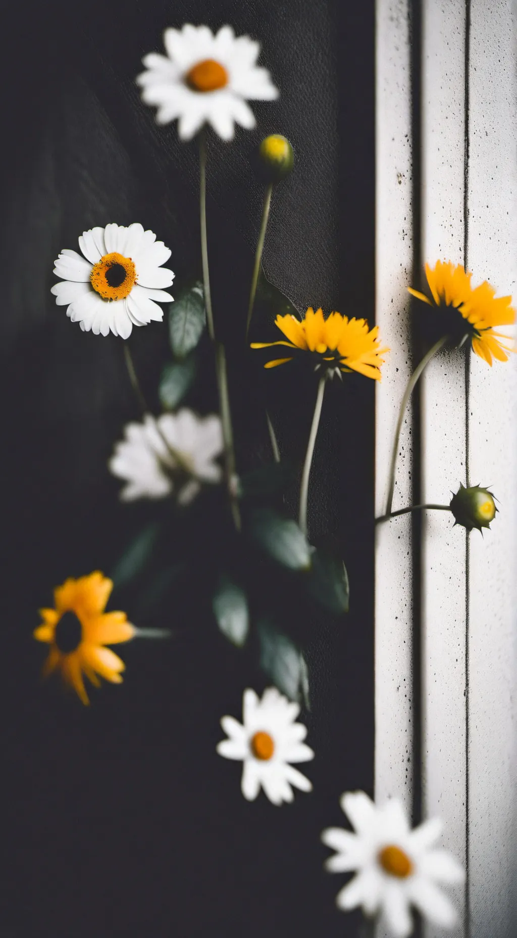 ai character: Apollo angst  background