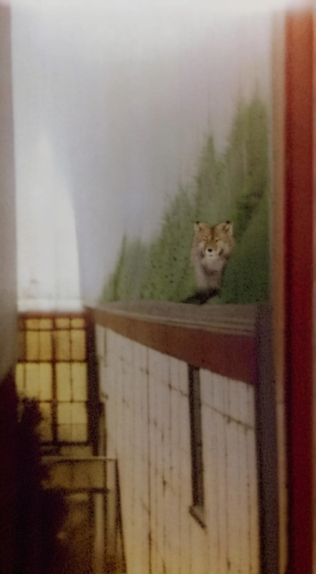 ai character: love o background