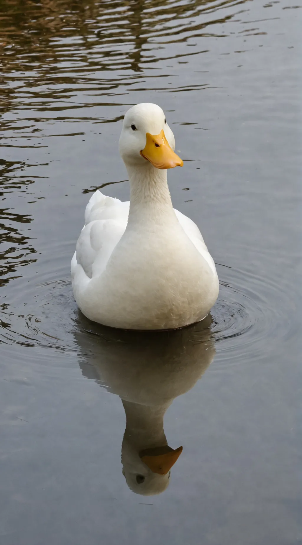 ai character: Larry the duck background