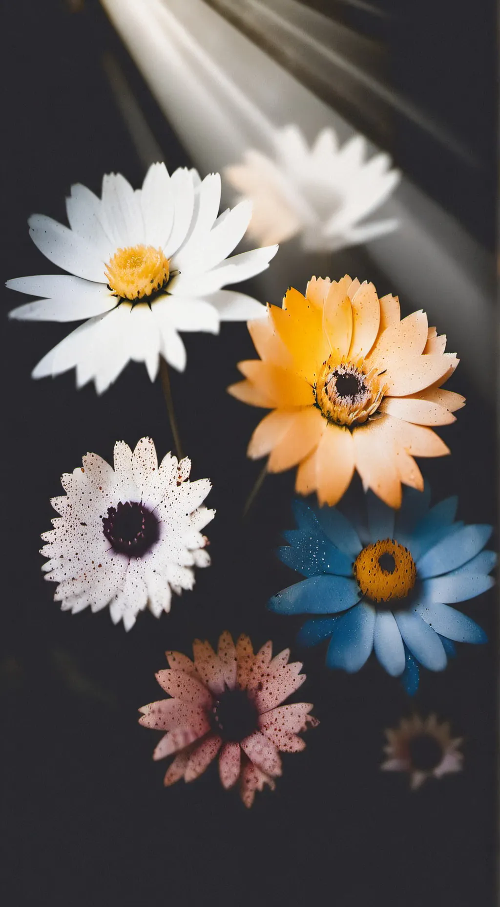 ai character: DW HALLOWEEN😃 background