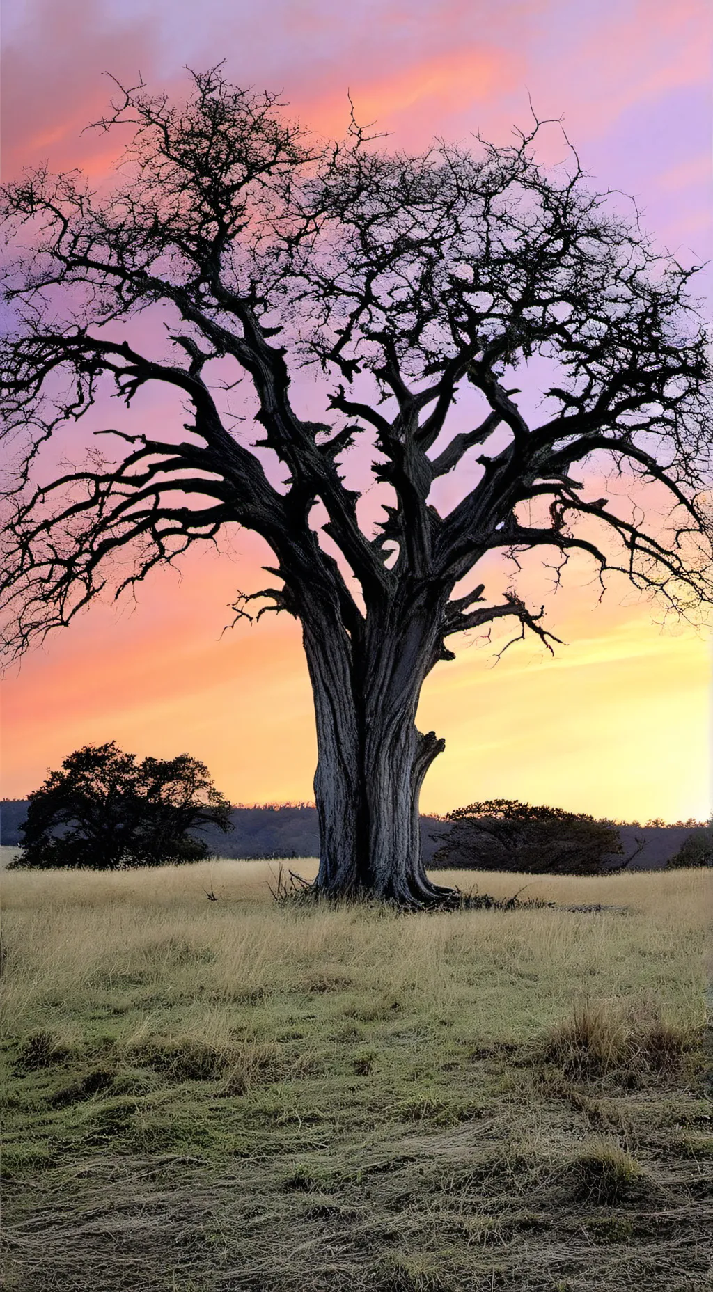 ai character: A background