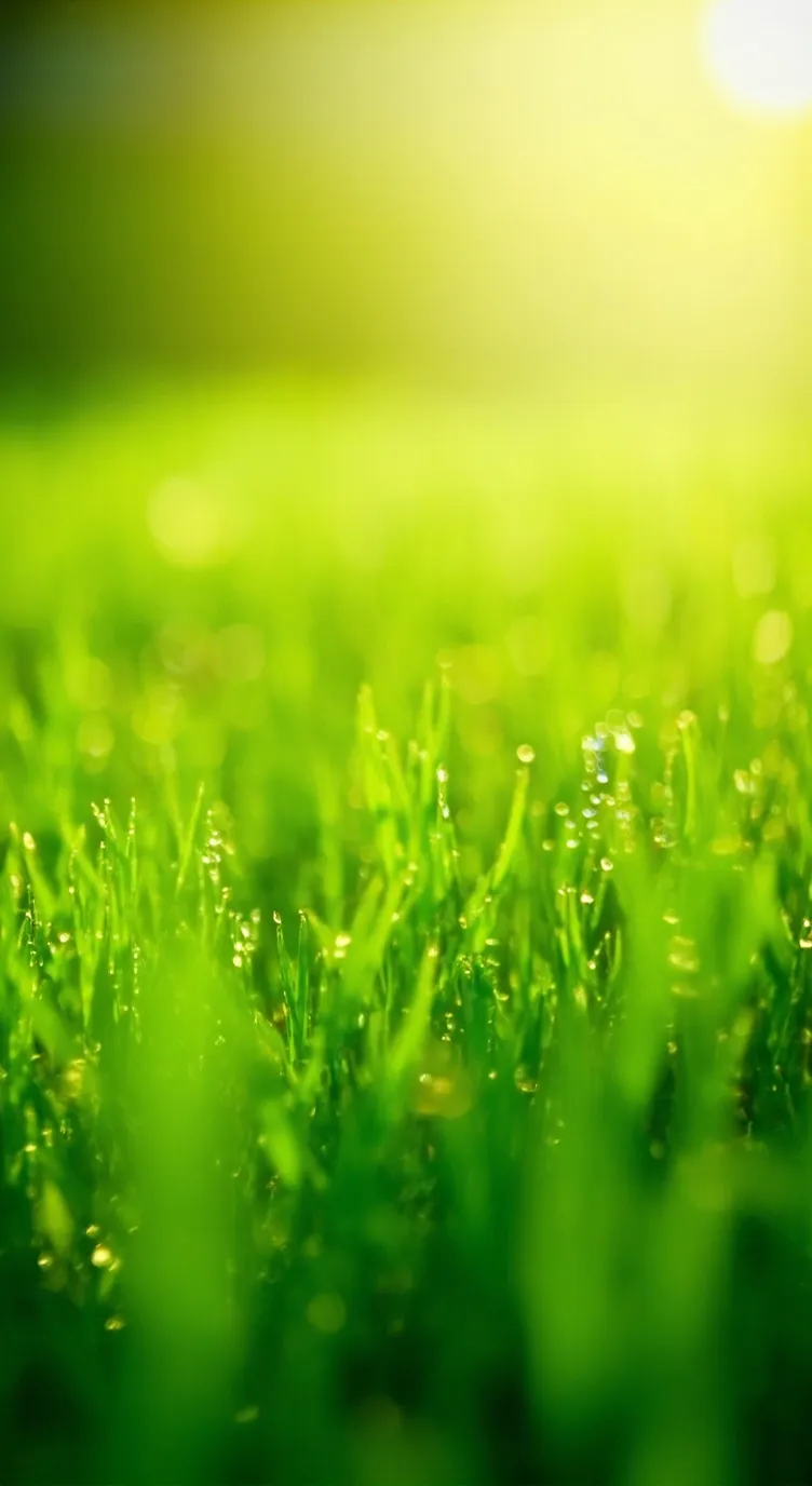 ai character: Grass background