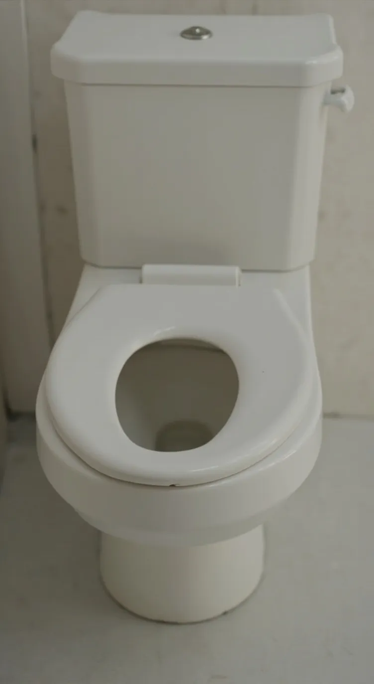 ai character: Toilet background